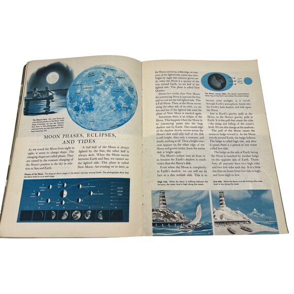 Golden Exploring Earth Books Oceanography Astronomy Dinosaurs 1970s Lot of 3 - Picture 6 of 8